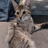 Thumbnail photo of Toes #2