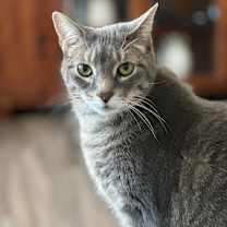 Thumbnail photo of Zoey #1