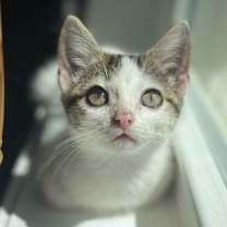 Thumbnail photo of Lucy #2