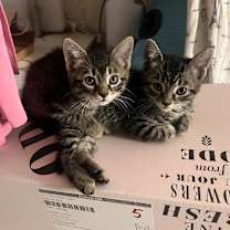 Thumbnail photo of Sicily  #1