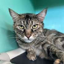 Thumbnail photo of Kinsley #2