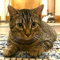 Thumbnail photo of Babs #2