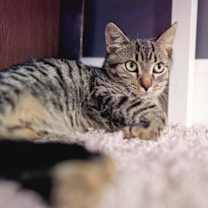 Thumbnail photo of Babs #3