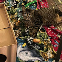 Thumbnail photo of Babs #4