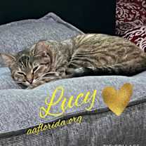 Thumbnail photo of Lucy #3