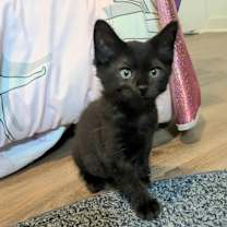 Thumbnail photo of Ricardo #2