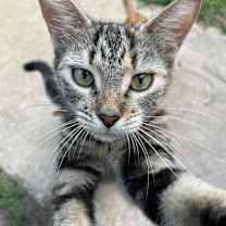 Thumbnail photo of Zoe #2