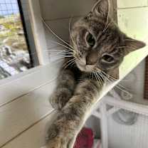 Thumbnail photo of Aurora #1