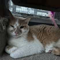 Thumbnail photo of Charlie #1