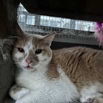 Thumbnail photo of Charlie #3