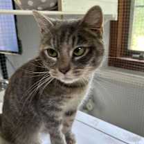 Thumbnail photo of Aurora #4