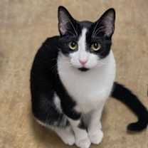 Thumbnail photo of Milk #1