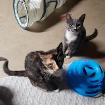 Thumbnail photo of Maggie #3