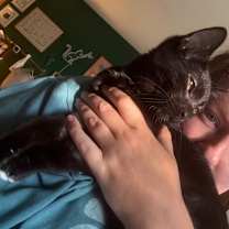 Thumbnail photo of Mocha #3