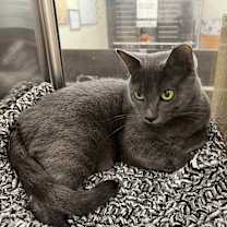 Thumbnail photo of Woodsie #4