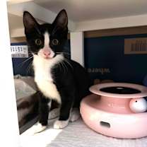 Thumbnail photo of Maimie #3