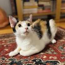 Thumbnail photo of Camille Catherine #1