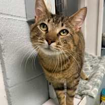 Thumbnail photo of Riggs #1