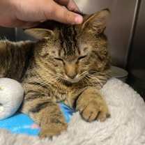 Thumbnail photo of Riggs #3