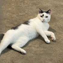 Thumbnail photo of River #2