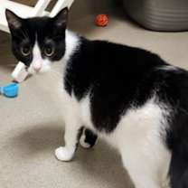 Thumbnail photo of Air Fryer #1