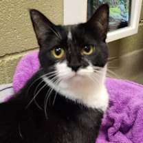 Thumbnail photo of Crock Pot #1