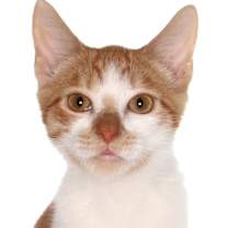 Thumbnail photo of Ryan #1