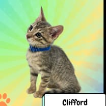 Thumbnail photo of Clifford, the Big Red Dog #3