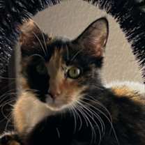 Thumbnail photo of Freckles #1