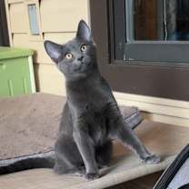 Thumbnail photo of Hazy-Courtesy Post #1