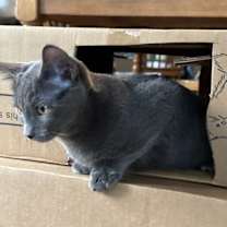 Thumbnail photo of Hazy-Courtesy Post #2