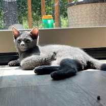 Thumbnail photo of Hazy-Courtesy Post #3