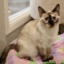 Thumbnail photo of Susie #2