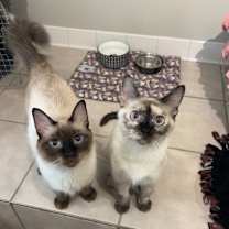 Thumbnail photo of Susie #3