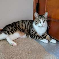 Thumbnail photo of Calamity #2