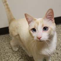 Thumbnail photo of Rocket #3