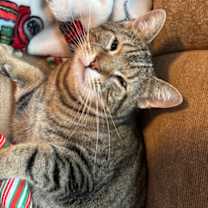 Thumbnail photo of Buddy #3