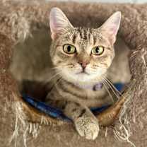 Thumbnail photo of Ducky #1