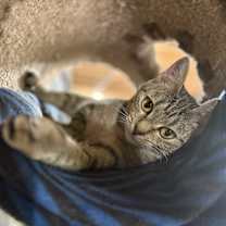 Thumbnail photo of Ducky #2