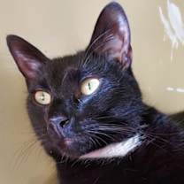 Thumbnail photo of Martin #1