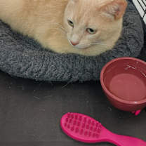 Thumbnail photo of Mike #1