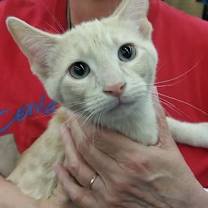 Thumbnail photo of Mike #2