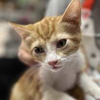 Thumbnail photo of F-Carman #2