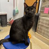 Thumbnail photo of Ian #2