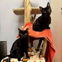 Thumbnail photo of Ian #3