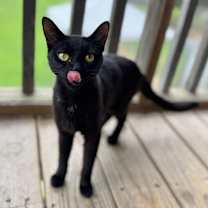 Thumbnail photo of Meredith #3