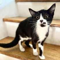 Thumbnail photo of Delilah ⭐️ #3