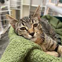 Thumbnail photo of Monty #1