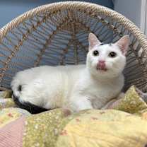 Thumbnail photo of Prince Charming #3