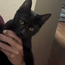 Thumbnail photo of Travis #1